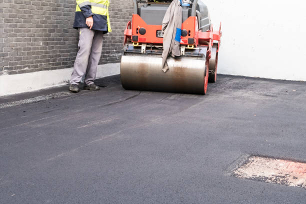 Best Driveway Removal and Replacement  in Island Lake, IL